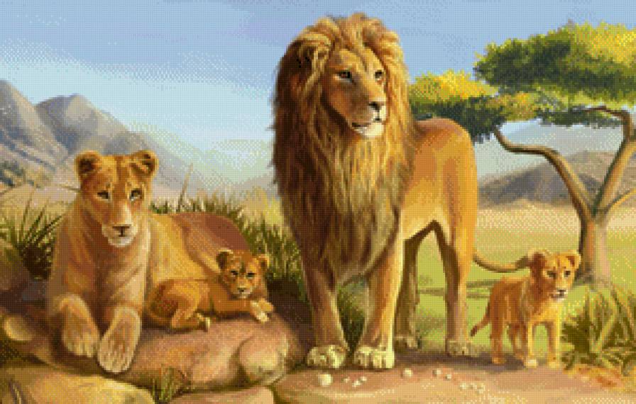 львиная семья - семья, лев - предпросмотр