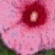 Предпросмотр схемы вышивки «серия "цветы"» (№627706)