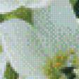 Предпросмотр схемы вышивки «серия "цветы"» (№627712)