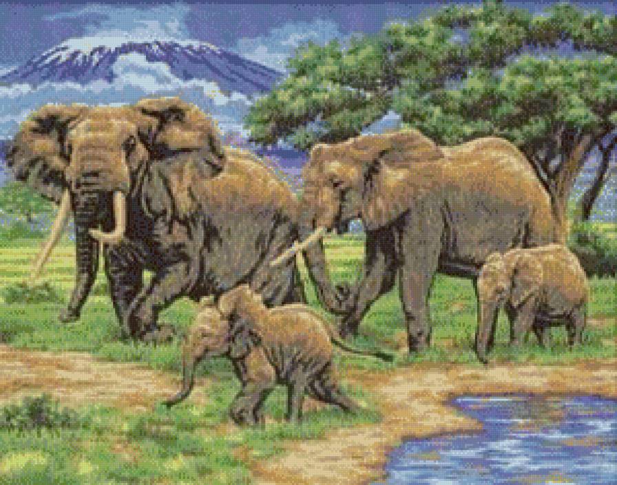 Семья слонов - предпросмотр