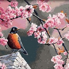птичка и цветущая сакура