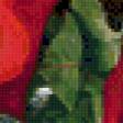 Предпросмотр схемы вышивки «красные розы» (№629100)