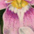 Предпросмотр схемы вышивки «Орхидеи» (№629286)