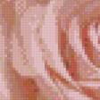 Предпросмотр схемы вышивки «Розы в рамке.» (№629357)