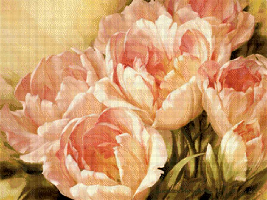 Очарование розовых тюльпанов. - предпросмотр