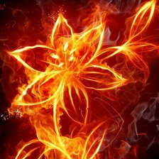 Схема вышивки «огненной цветок»