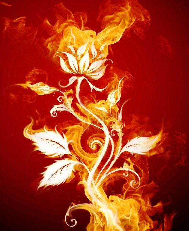 огненной цветок - оригинал