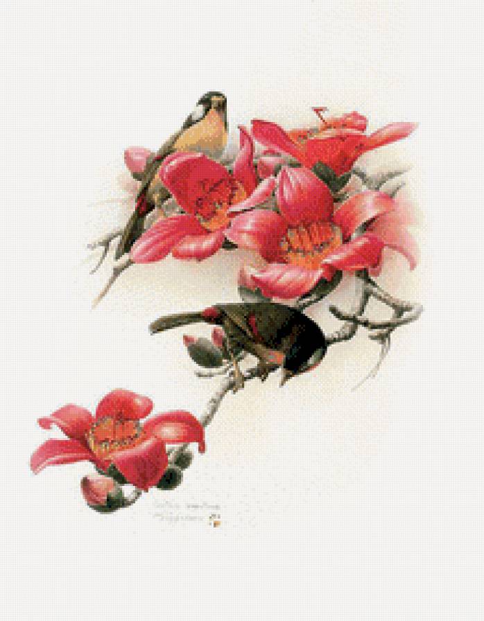 птички на ветке с цветами - птицы, цветы - предпросмотр