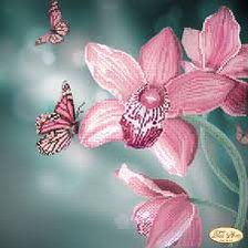 Оригинал схемы вышивки «орхідеї з метеликами» (№630334)