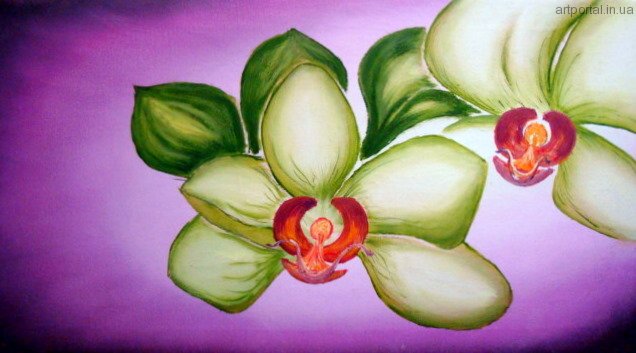 дикие орхидеи - цветы, орхидеи - оригинал