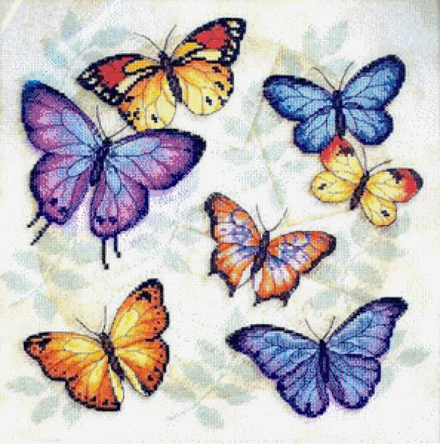 бабочки - небесные создания, бабочки - предпросмотр