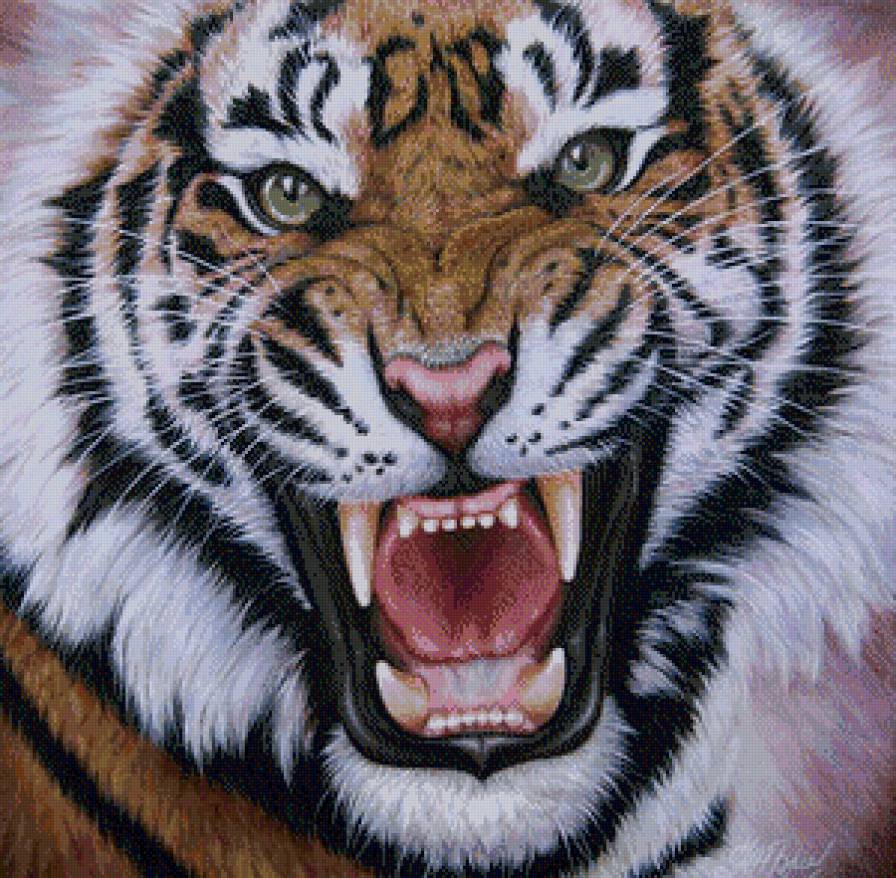 Тигр - хищник, животные, тигр, звери - предпросмотр