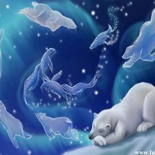 сны белого мишки