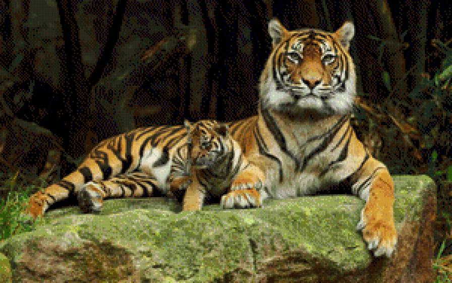 тигрица с малышом - картина - предпросмотр