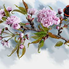 Оригинал схемы вышивки «бабочка на цветущей ветке» (№632489)