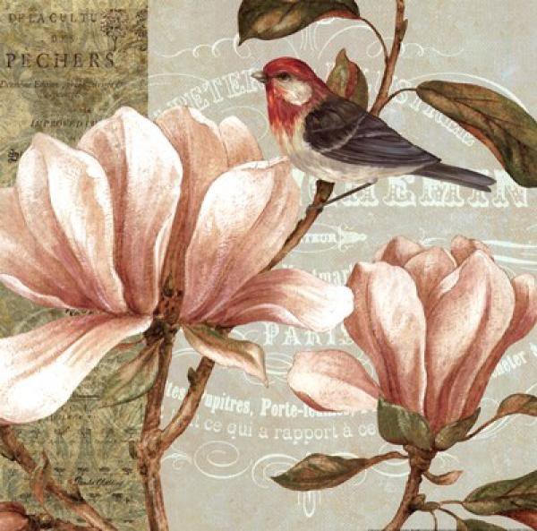 птички на магнолии - птицы, цветы - оригинал