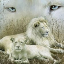 Схема вышивки «белые львы»