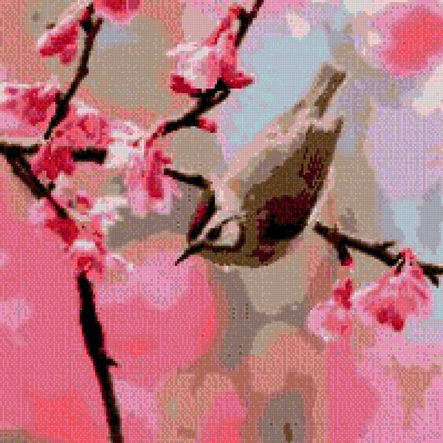сакура  птичка - птица, ветка, цветы - предпросмотр