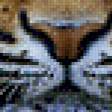 Предпросмотр схемы вышивки «тигр» (№632728)