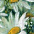 Предпросмотр схемы вышивки «ромашки» (№632865)