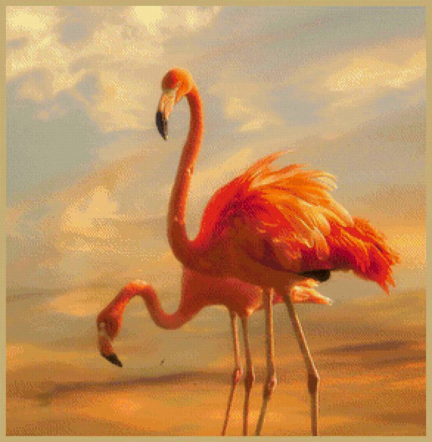 розовый фламинго - природа, фламинго, пейзаж, птицы - предпросмотр