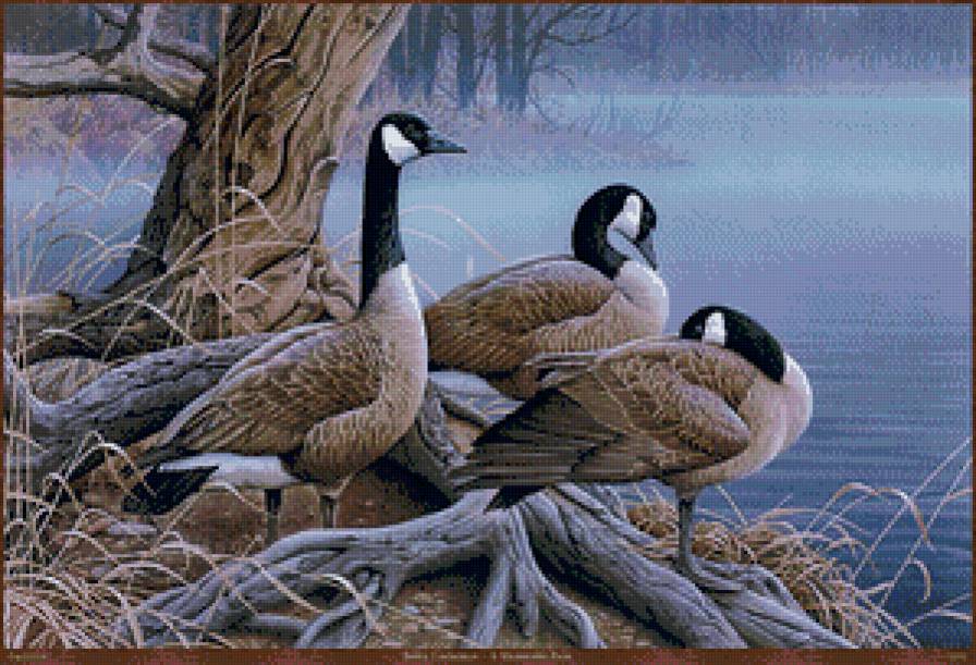 утки на пруду - охота, природа, утки, птицы, пруд - предпросмотр