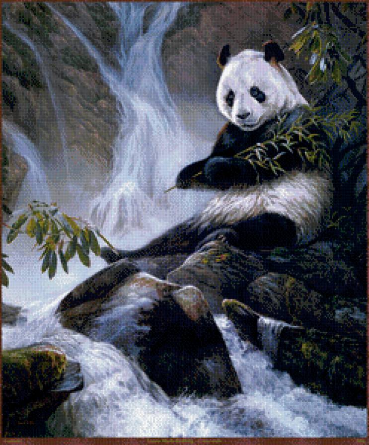 панда - животные, панда, природа - предпросмотр
