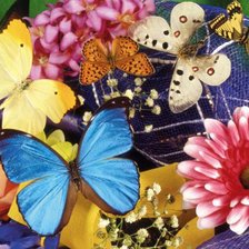 Оригинал схемы вышивки «букет бабочек» (№632957)