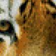 Предпросмотр схемы вышивки «tygrys» (№632965)