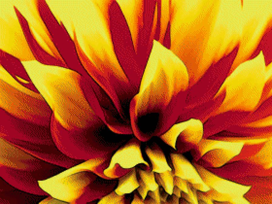 Огненный цветок - красный, яркий цветок, желтый - предпросмотр