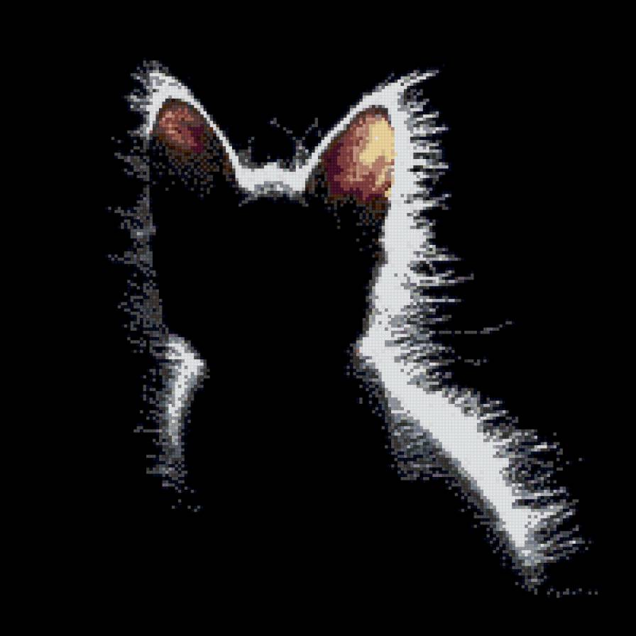 Светлячок - ночь, черный, кот. свет, аура - предпросмотр