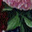 Предпросмотр схемы вышивки «серия цветы» (№633407)