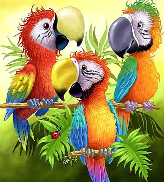 попугаи - приррода, попугай, животные, птицы, детское - оригинал