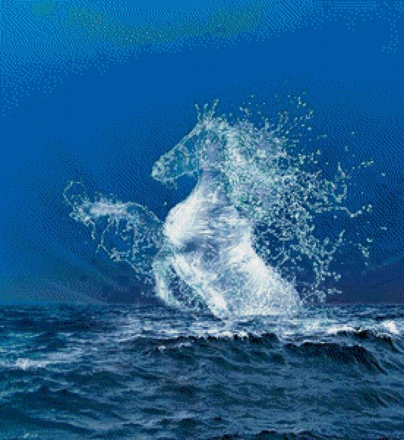 лошадь - лошадь, море, вода - предпросмотр