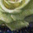 Предпросмотр схемы вышивки «белые розы с сиренью» (№634011)