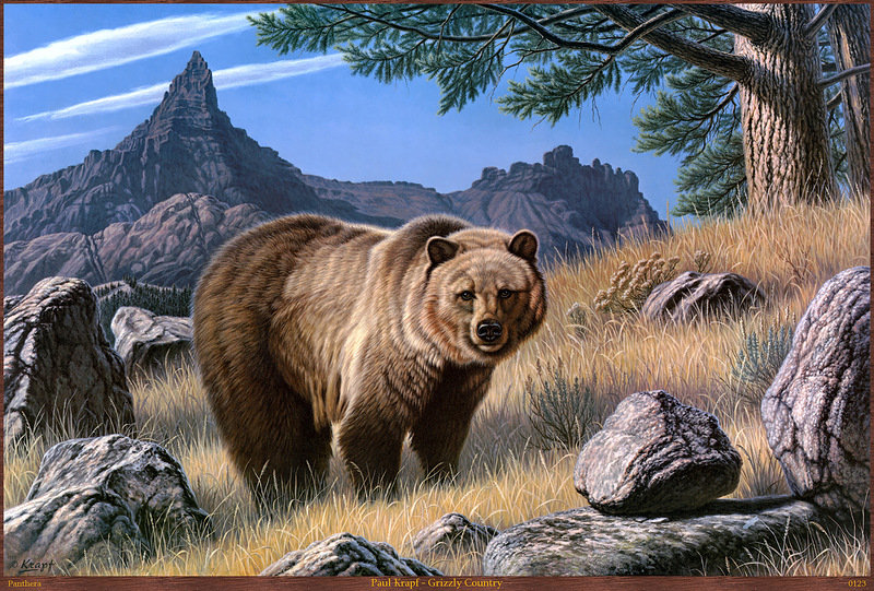 медведь - скалы, картина, медведь, природа, животное - оригинал