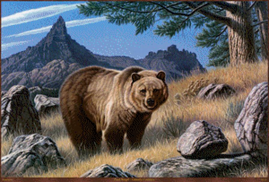 медведь - скалы, природа, животное, медведь, картина - предпросмотр