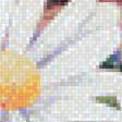 Предпросмотр схемы вышивки «Котик в цветах» (№634841)