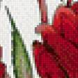Предпросмотр схемы вышивки «розы» (№635043)