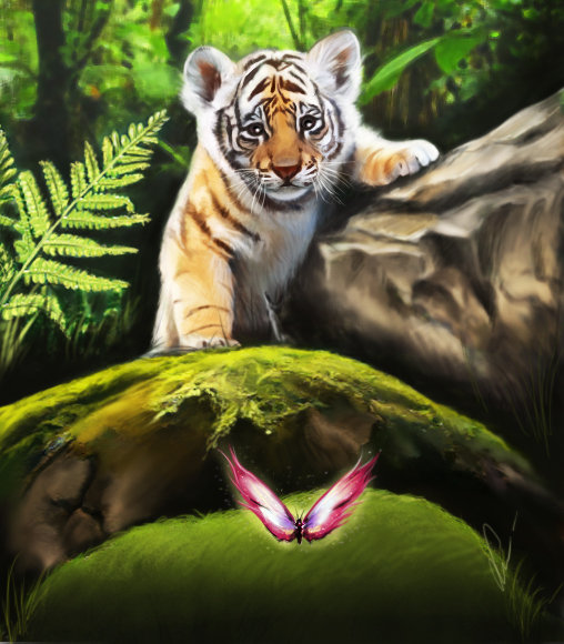 Тигрик и бабочка - тигры, животные, бабочка - оригинал