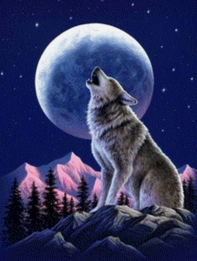 тоска - животные, ночь, волк, луна - предпросмотр