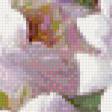 Предпросмотр схемы вышивки «прекрасные цветы» (№635615)
