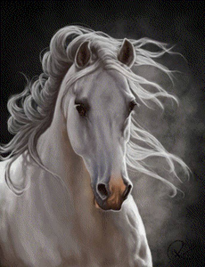 Белая лошадь - лошадь, животные - предпросмотр