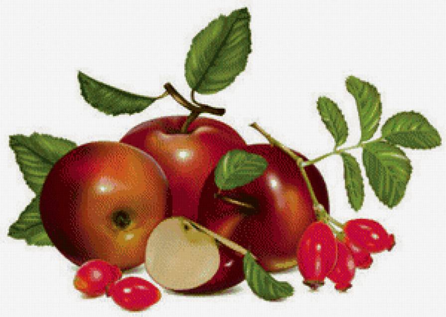 Яблоки и шиповник - фрукты, натюрморт - предпросмотр