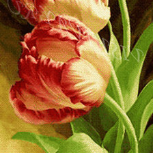 Схема вышивки «тюльпаны»