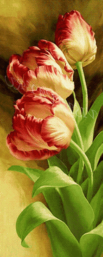 Тюльпаны - тюльпаны, цветы - оригинал