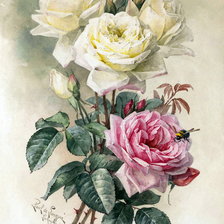Оригинал схемы вышивки «розы» (№637314)