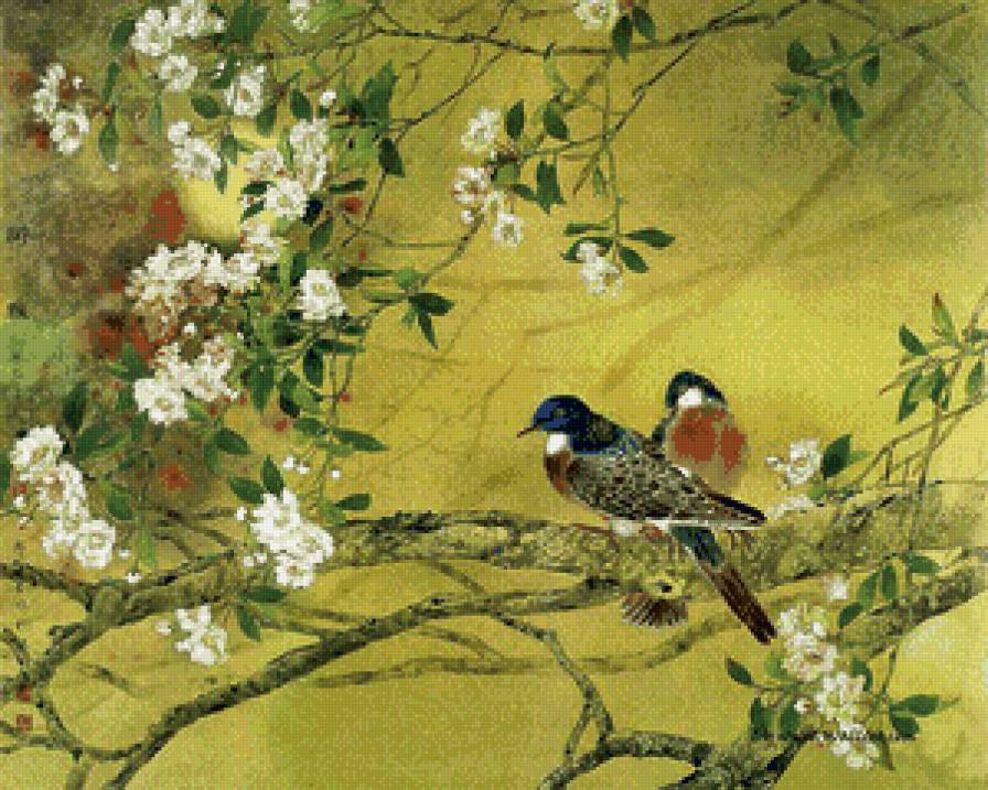 птицы на ветке - восток, птицы, япония, ветка, весна - предпросмотр