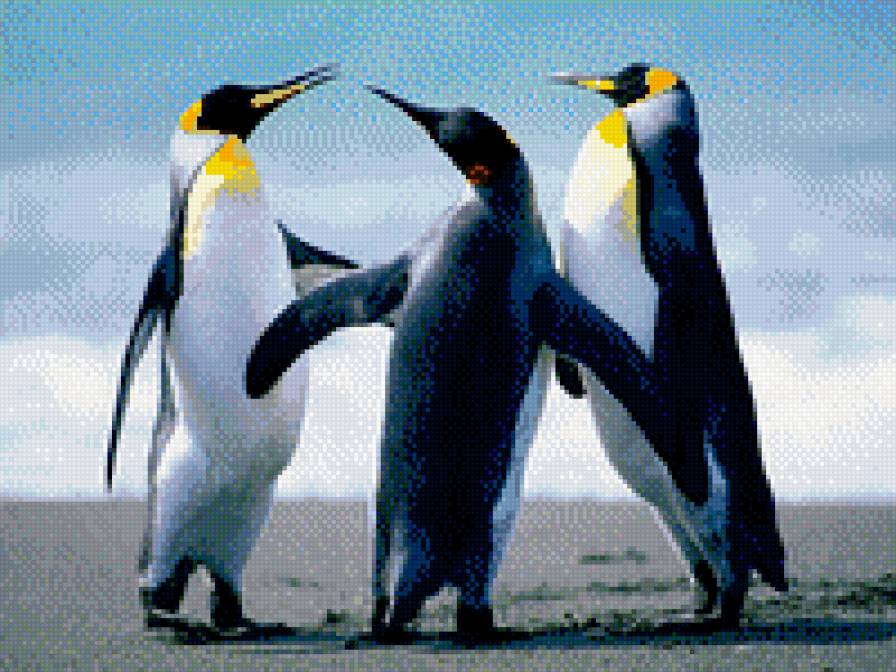 пингвинята - предпросмотр