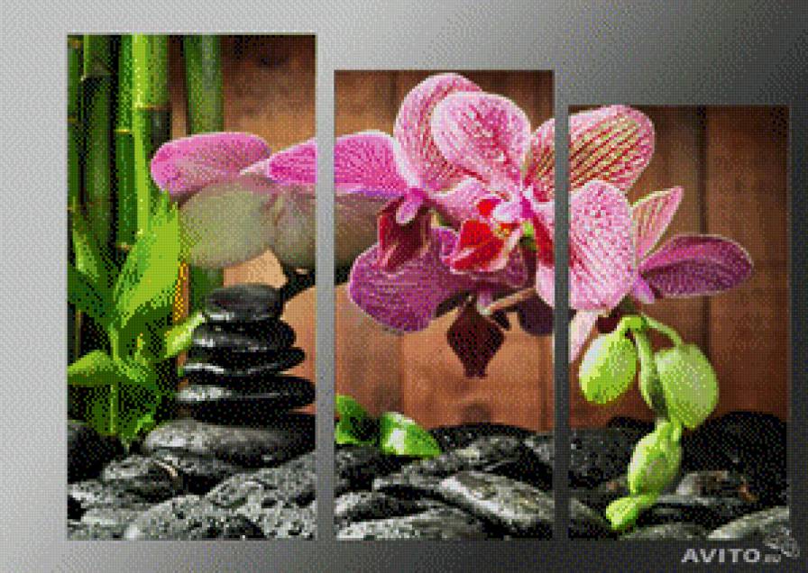 триптих орхидея - цветы - предпросмотр